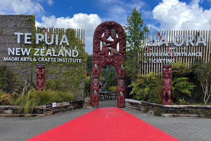 Auckland: TE PUIA Rotorua, Polynesian Spa & Blue Springs Day Tour