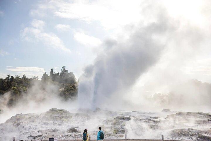 Auckland: TE PUIA Rotorua, Polynesian Spa & Blue Springs Day Tour