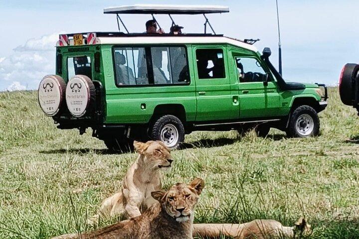 Explore Nairobi City Tour with Highlights