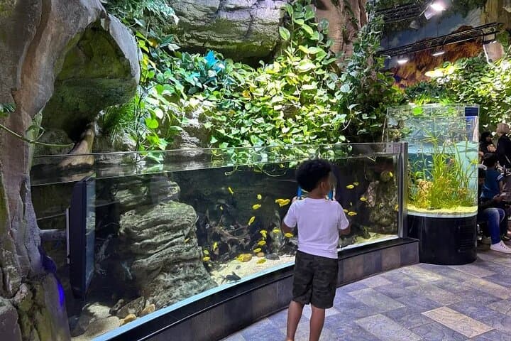 Dubai Aquarium And Underwater Zoo