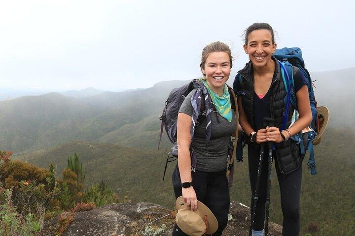 Private Mt Kilimanjaro Full Day Hike -Mandara
