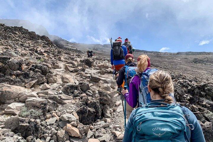Private Mt Kilimanjaro Full Day Hike -Mandara