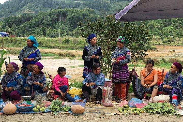Hanoi to Sapa: 2-Day Trekking Adventure with Overnight Homestay
