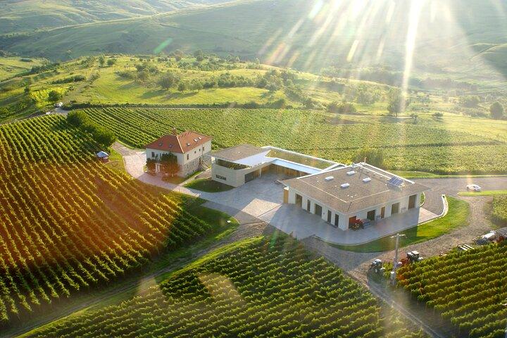 Bucharest: Private Wine Tasting Tour in the “Tuscany of Romania”