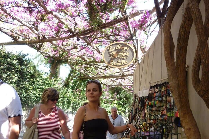 Full-Day Excursion to Pompeii Skip-The-Line and Amalfi Coast from Naples Port