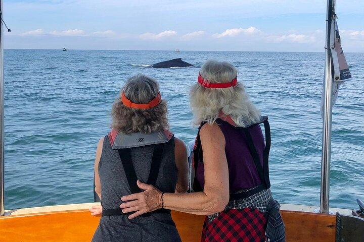 Whale Watching Experience – 4 Hours in Puerto Vallarta