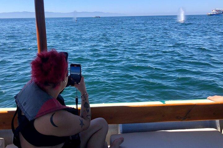Whale Watching Experience – 4 Hours in Puerto Vallarta