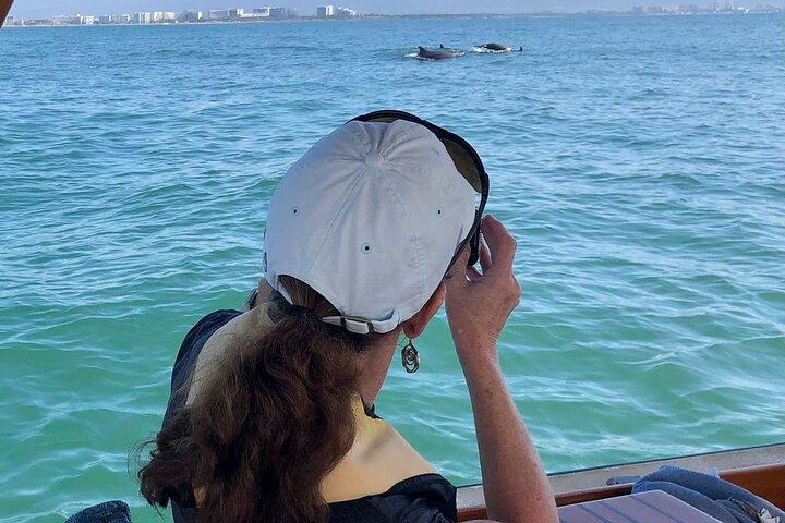 Whale Watching Experience – 4 Hours in Puerto Vallarta