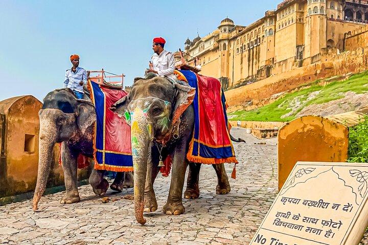 Jaipur Private All-Inclusive City Tour: Amber Fort, Hawa Mahal.