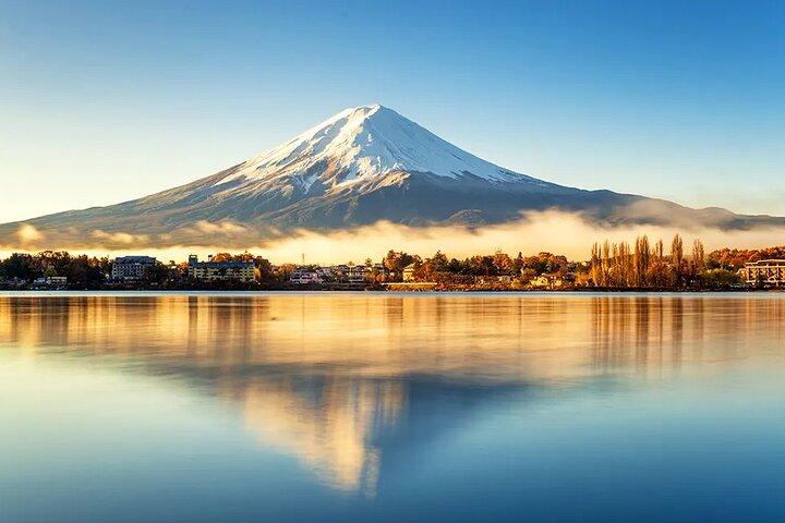Instagram Mt. Fuji Spots & Kawaguchiko's Four Seasons Flower Tour