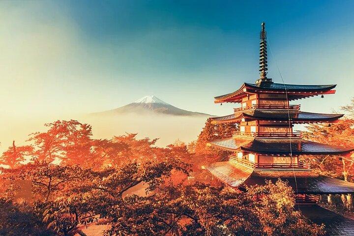 Instagram Mt. Fuji Spots & Kawaguchiko's Four Seasons Flower Tour