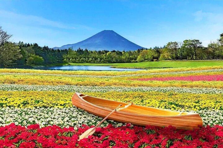 Instagram Mt. Fuji Spots & Kawaguchiko's Four Seasons Flower Tour