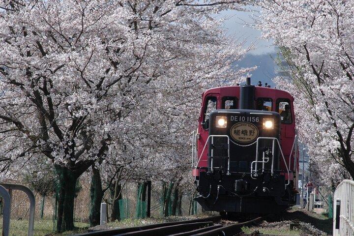 Kyoto Bus Tour: Sagano Railway & Hozugawa River Boat Ride