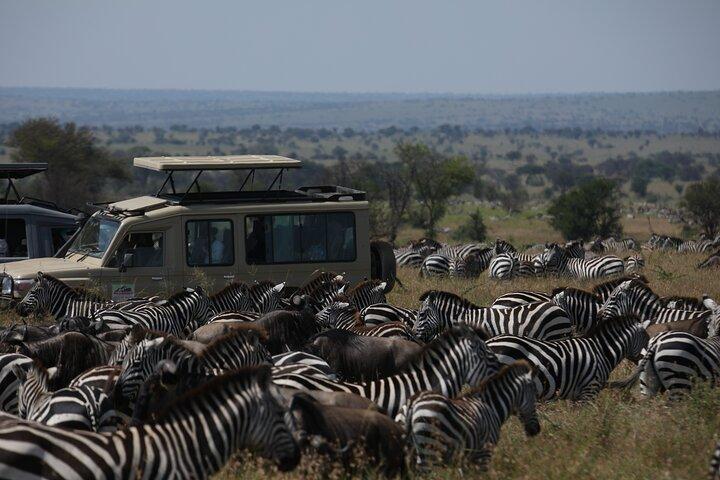 8 Days Explore Serengeti Great Wildebeest Migration Tour