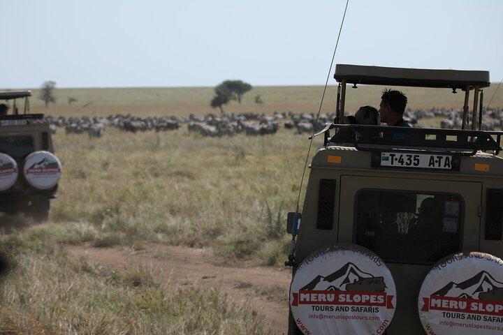 8 Day Mid Range Serengeti Wildebeests Migration Tour