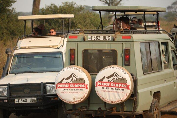 9 Day Tanzania Northern Circuit Mid Range Safari