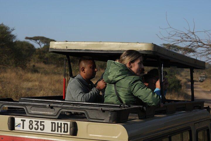 7 Days Serena Experience to Serengeti Great Migration