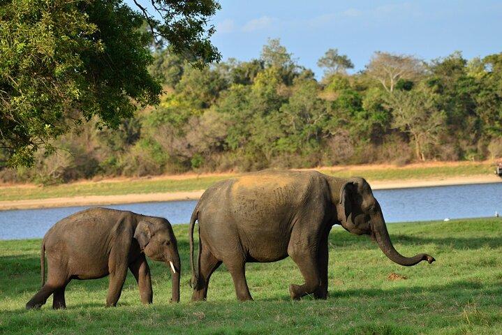 Round Up Sri Lanka in 10 Days Sightseeing Cultural and Activities