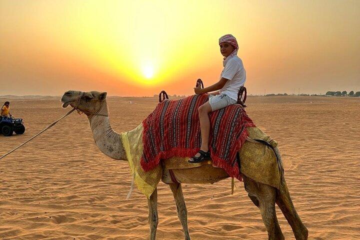 Dubai Evening Desert Safari with BBQ & Live Shows