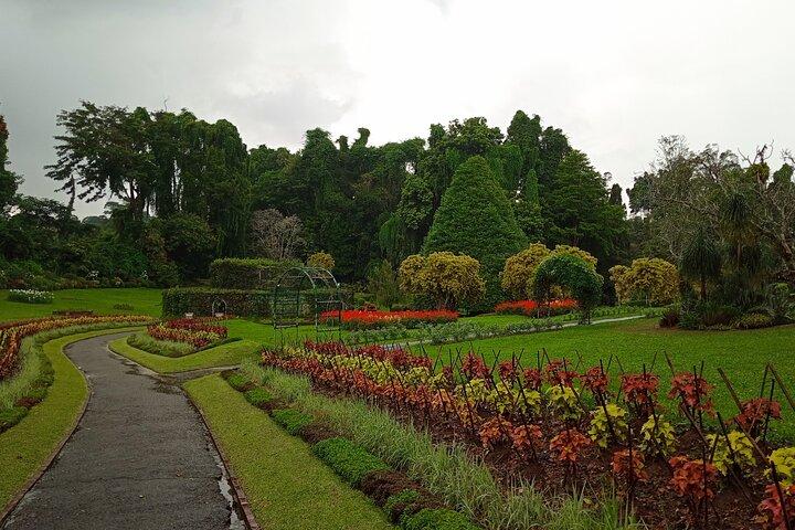 Peradeniya Garden, Ambuluwawa and Pinnawala Day Tour from Kandy