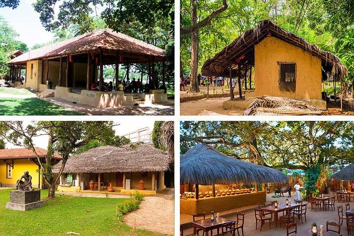 Peradeniya Garden, Ambuluwawa and Pinnawala Day Tour from Kandy