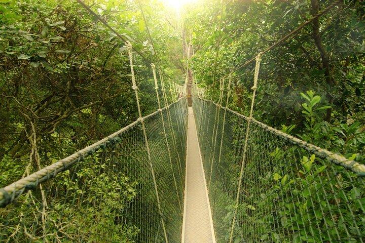 Kuala Lumpur: Taman Negara National Park Trek & Boat Ride