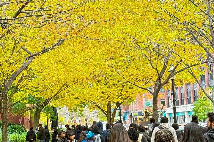 Old Town Toronto and Saint Lawrence Market Walking Tour