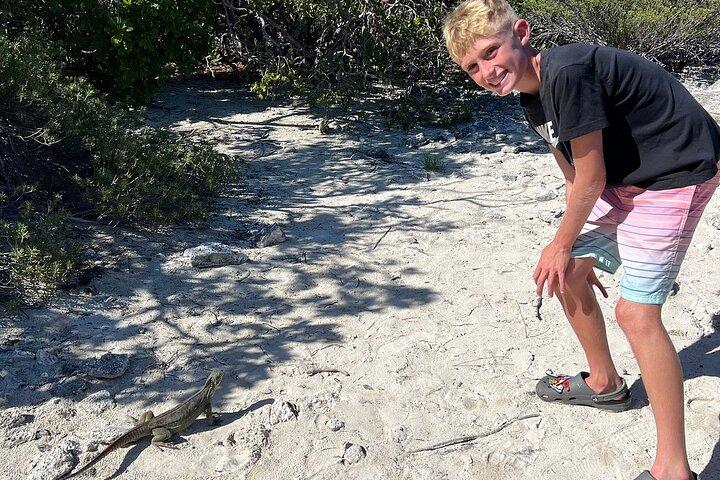 3hr Clear Kayak Tour of Mangroves, Marine Life and Iguanas