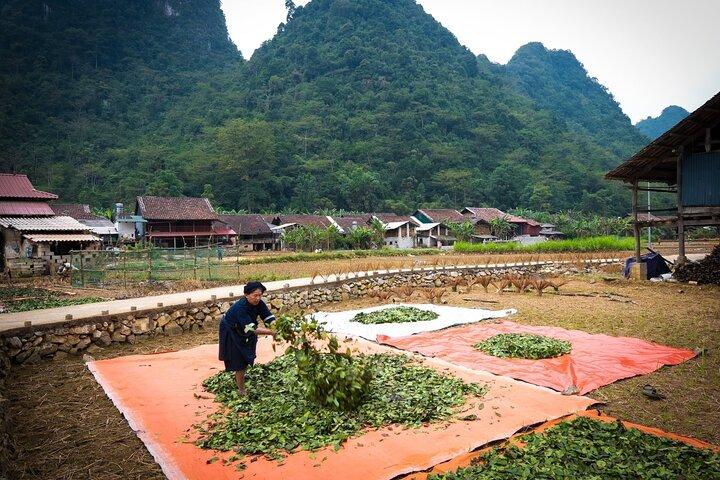 Cao Bằng Explorer: 3-Day Scenic Adventure