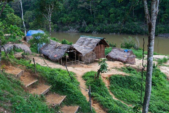 Kuala Lumpur: Taman Negara National Park Trek & Boat Ride