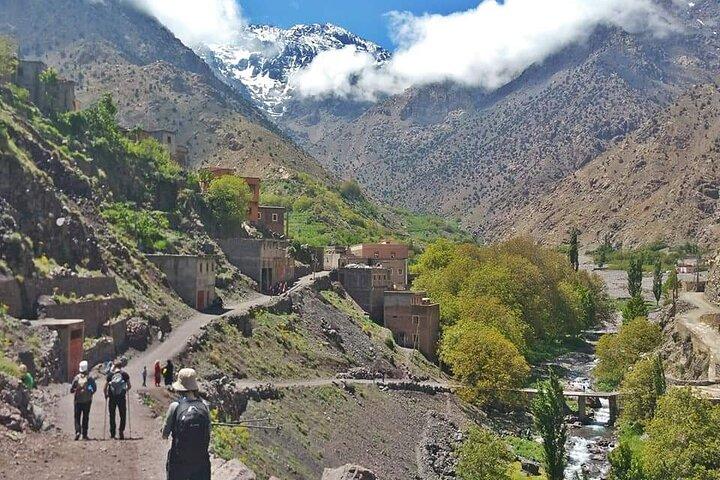 Day Trip from Marrakech waterfalls &Lunch &camelride
