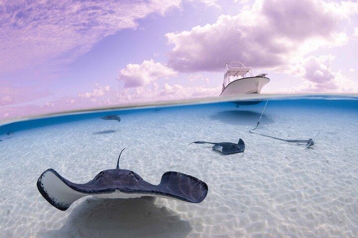 Cayman Adventure Stingrays Starfish plus Crystal Caves