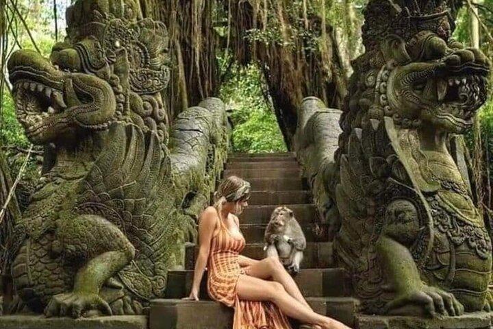 Bali Ubud Private Costomized Tour - Explore Bali your way