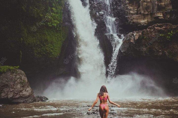 Bali Ubud Private Costomized Tour - Explore Bali your way