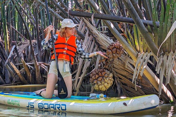 Paddling to explore the historic Vietnam War Rach Chiec jungle,