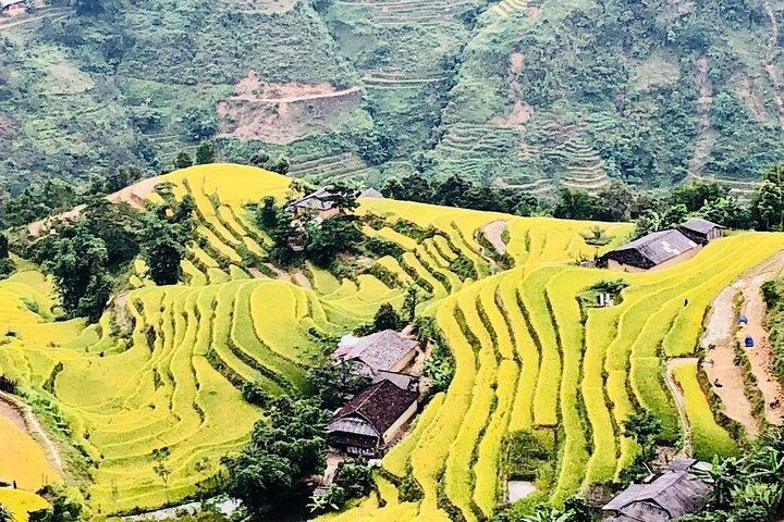 Private Half-Day Tour of Villages, Terrace Rice Fields by Car