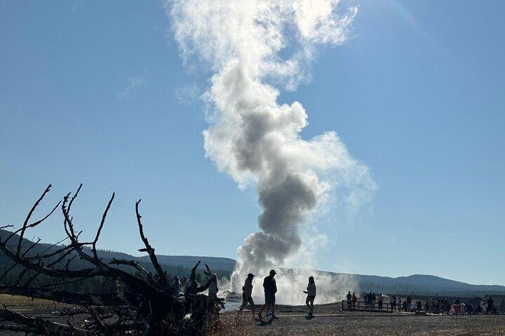 Yellowstone Hot Spots Lower Loop Tour From Cody Wy!