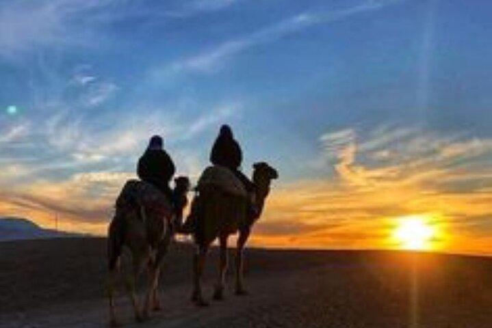 Agafay Marrakech: Quad & Camel Ride with Sunset, Dinner & Show