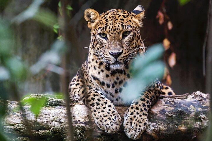 Sri Lanka Experience in 13 Days Private Tour
