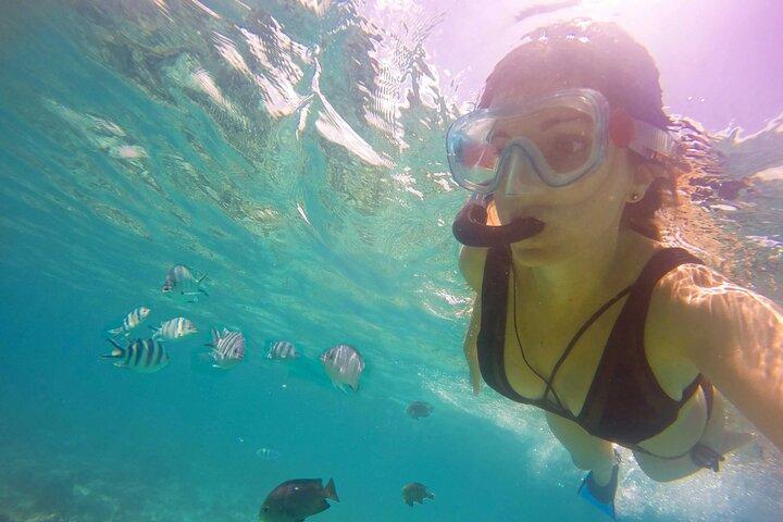 Experience the Magic of Mnemba: Half-Day Dolphin & Snorkeling