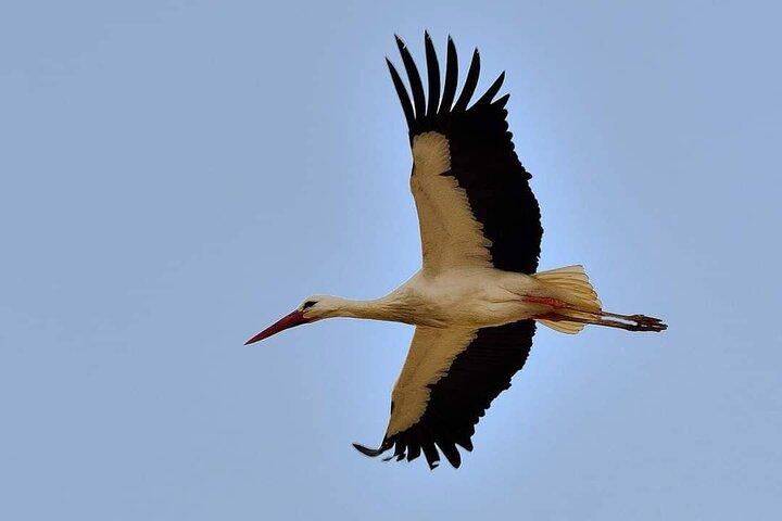 8-Day Luxury Tour from Casablanca to Marrakech via Fes-Merzouga