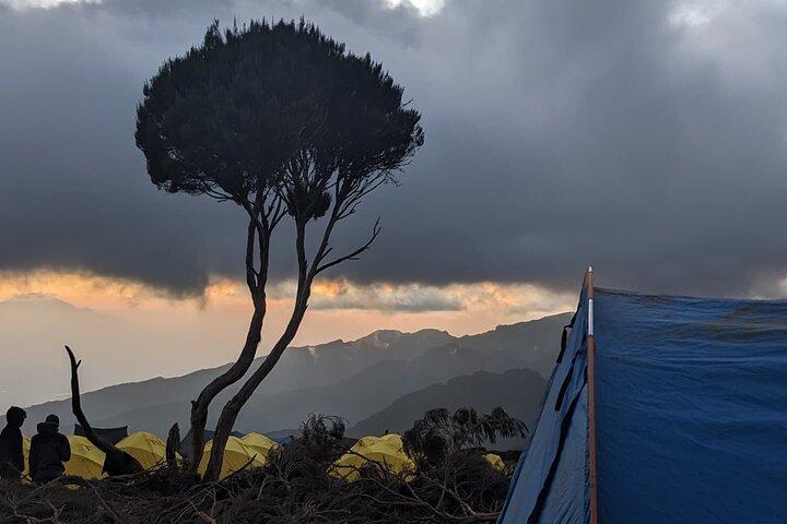 6 Days Trekking - Machame Route - Kilimanjaro