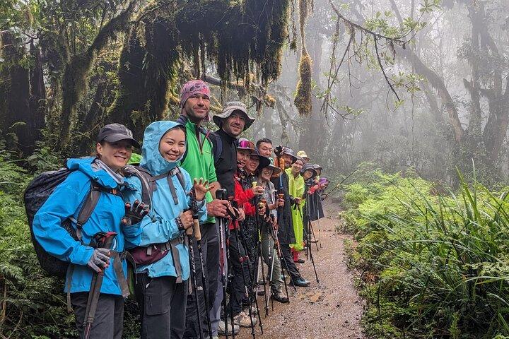 Lemosho Route 7 Days Trekking at Mount Kilimanjaro
