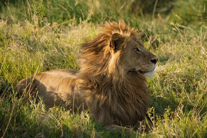 8 Days Private Camping Safari
