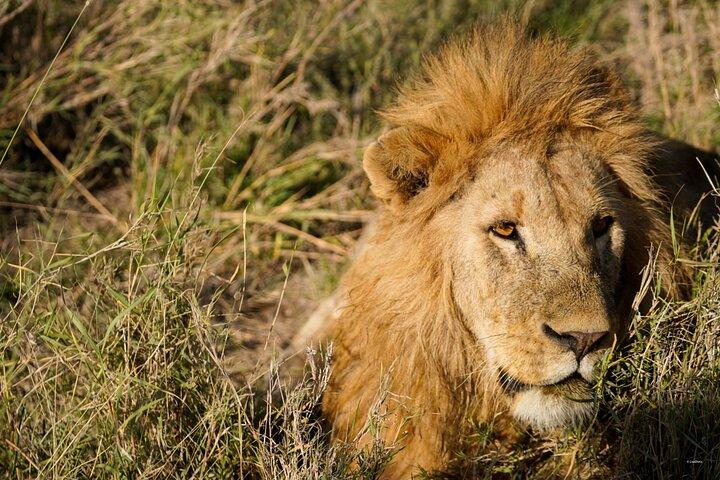 9 Days Private Camping Safari
