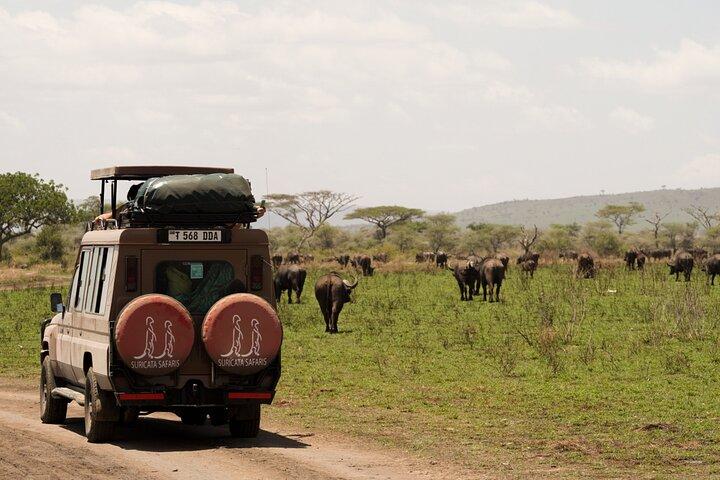 3 Days Tarangire Lake Manyara and Ngorongoro Mid-Range Safari