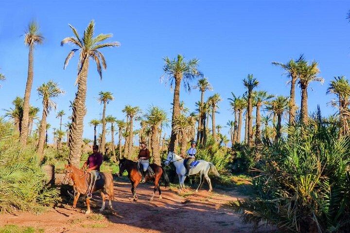 2-Hour Horseback Riding Adventure in Palmeraie Grove – Marrakesh