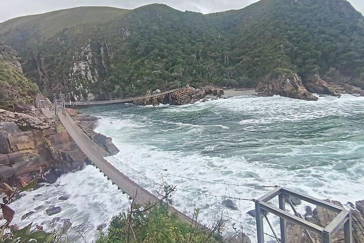 1 Day Garden Route Tour from Port Elizabeth to the Crags