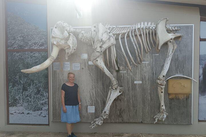 Port Elizabeth Addo Elephant National Park All Inclusive Safari