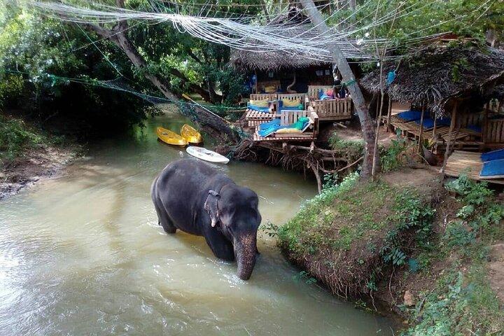 Dambulla and Sigiriya Day Tour from Colombo or Negombo